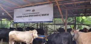 b042cfd2-e3c5-48d5-82a1-2087512dbad3